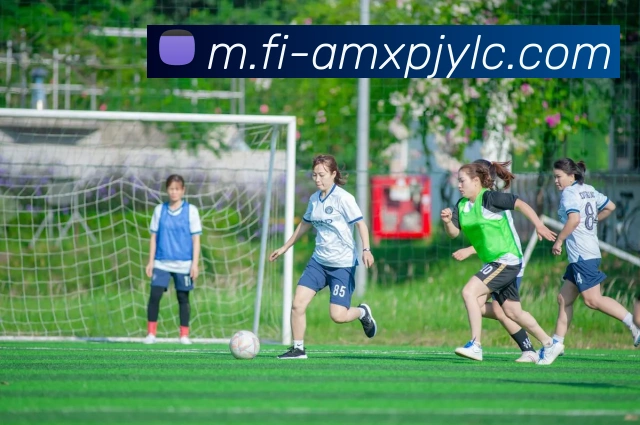 新葡京娱乐服务体系